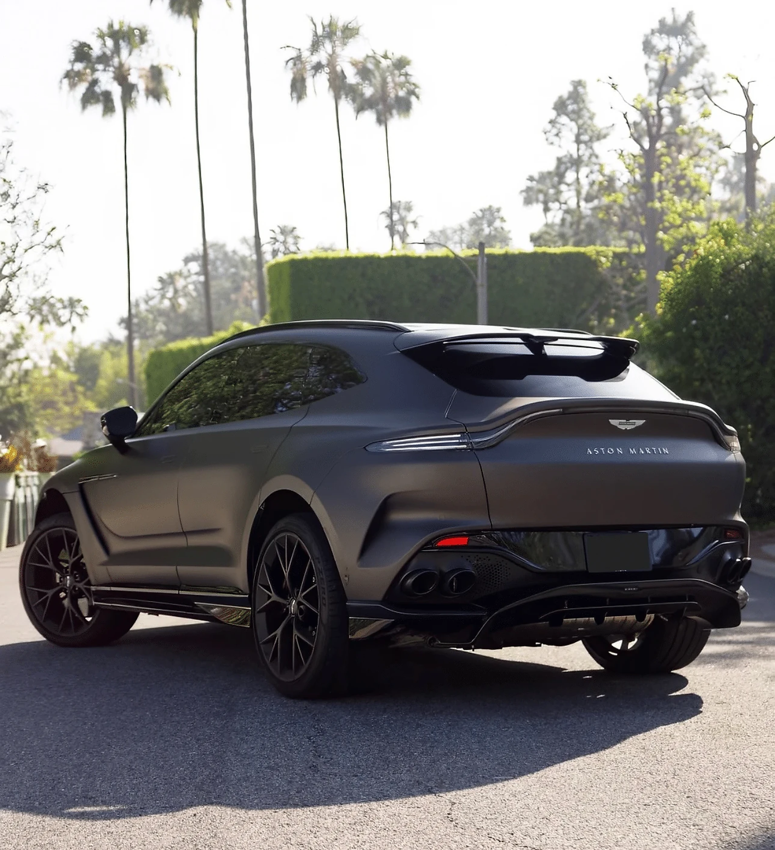 Aston Martin DBX 707 detail relevant to performance suv rentals on THE LUX CAR